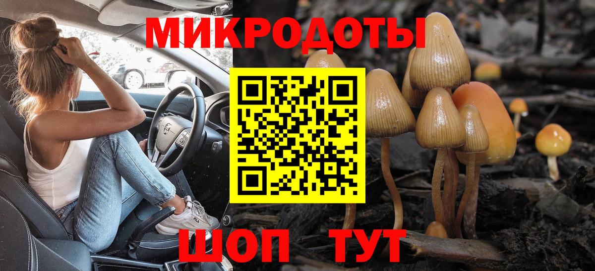 Псилоцибиновые грибы Psilocybine cubensis  Псилоцибиновые грибы мухоморы  Протвино  Вход с VPN 